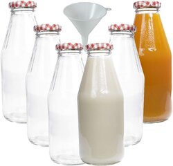 Mikken 6 x klaasist pudel 500 ml, kruviga pudel koos lehtriga цена и информация | Столовые и кухонные приборы | kaup24.ee