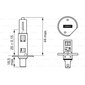 Bosch H1 puhas valguse lamp - 12 V 55 W P14.5S - 1 tükk hind ja info | Autopirnid | kaup24.ee