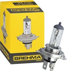 10x Brehma H4 halogeenlamp 12 volti 60/55 vatt P43T цена и информация | Автомобильные лампочки | kaup24.ee