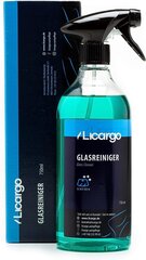 Licargo® Glass Cleaner Car (750 мл) - Для ломтиков без полосы - мощный очиститель окна автомобиля внутри и снаружи - очиститель окон для автомобильных окон, ветровые стекла, очиститель автомобиля. цена и информация | Автохимия | kaup24.ee