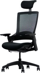 Ergotopia® Nextback | Эргономичное офисное кресло против боли в спине С интегрированной поддержкой лордоза | Дополнительная подголовника от боли в шее (черное) цена и информация | Офисные кресла | kaup24.ee