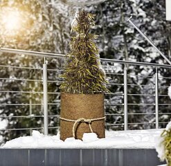 Windhageri kookospähkli vildimatt, kookospähkli matt, külmakaitse, külmakaitse, taimede ja potitaimede talvine kaitse, talvituvad külmatundlikud taimed, 0,5 x 1,5 m, 06588 hind ja info | Aiatööriistad | kaup24.ee