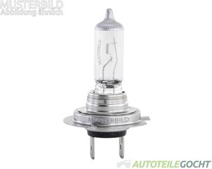 Комплект ламп Hella 8GH 007 157-901 цена и информация | Автомобильные лампочки | kaup24.ee