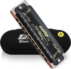 East Top Harmonica Key A 10 auku Diatonic Blues Harmonica professionaalsetele mängijatele, algajatele, õpilastele, täiskasvanutele, lastele, kingituseks hind ja info | Puhkpillid | kaup24.ee