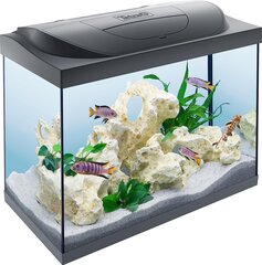 Tetra Starter Line 80 L Aquarium Complete Set со светодиодным пулом начального уровня светодиодного освещения с технологиями, продуктами корма и ухода, цвет: черный цена и информация | Аквариумы и оборудование | kaup24.ee