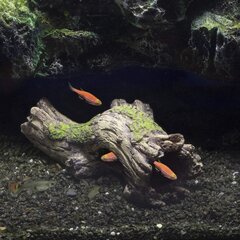 Hügger Akvaariumi kaunistamise puutüve, vaigu koobase akvaariumi kaunistamine, akvarkaunistused, mis sobivad ideaalselt väikeste krevettide kalade jaoks hind ja info | Akvaariumid ja seadmed | kaup24.ee
