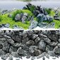 Juwel Aquarium Aquascape/Stone plakat 4 L100x50cm Art. Nr. 86249 цена и информация | Akvaariumid ja seadmed | kaup24.ee