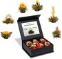 Creano 6 Teblumeni kinkekarp valge tee, üllas magnetkarbis õe reljeefiga, 6 erinevat sorti, kingitus naistele ja teehuvilistele цена и информация | Tee | kaup24.ee