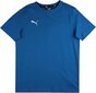 Puma Jungen TeamGoal 23 juhuslik tee jr t-särk, elektriline sinine limonaad, 140 цена и информация | Jalgpalli varustus ja riided | kaup24.ee