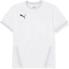 Puma Kinder TeamGoal 23 Jersey Jr T-särk, valgehalli violetne, 128 цена и информация | Футбольная форма и другие товары | kaup24.ee