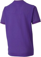 Puma Kinder TeamGoal 23 Jersey Jr Trikot, Prism Violet-Tillandsia Purple, 116 hind ja info | Jalgpalli varustus ja riided | kaup24.ee