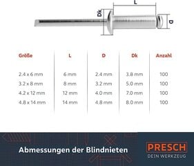Presch Blind Neets Seadke 400 tk. - Täielikud alumiiniumist/terasest needid suuruses 2,4 mm, 3,2 mm, 4,0 mm ja 4,8 mm - kõrge kvaliteediga pimedate neetide vahemik hind ja info | Käsitööriistad | kaup24.ee