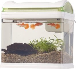 Sweetypeti akvaarium: transportige kalabasseini filtriga, LED -valgustus ja USB, 3,3 liitrit (mini akvaarium) цена и информация | Аквариумы и оборудование | kaup24.ee