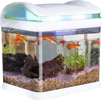 Sweetypeti akvaarium: transportige kalabasseini filtriga, LED -valgustus ja USB, 3,3 liitrit (mini akvaarium) hind ja info | Akvaariumid ja seadmed | kaup24.ee