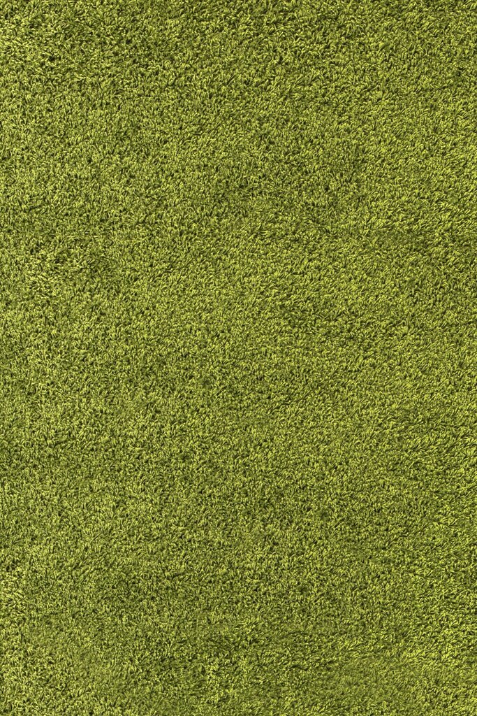 Vaip Ayyildiz Shaggy Dream Green 4000, Ø 120 cm hind ja info | Vaibad | kaup24.ee