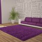 Vaip Ayyildiz Shaggy Dream Lila 4000, 120x170 cm hind ja info | Vaibad | kaup24.ee