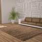 Vaip Ayyildiz Shaggy Dream Mocca 4000, 120x170 cm hind ja info | Vaibad | kaup24.ee