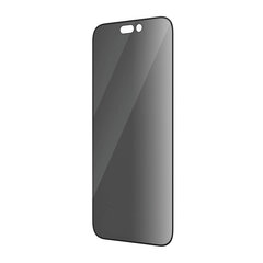 Kaitseklaas PanzerGlass Apple iPhone 14 Pro jaoks цена и информация | Ekraani kaitsekiled | kaup24.ee