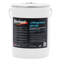 Смазка литиевая комплексная DIVINOL Lithogrease 2B, термостойкая, синяя 15KG цена и информация | Моторные масла | kaup24.ee