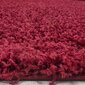 Vaip Ayyildiz Shaggy Dream Red 4000, Ø 120 cm цена и информация | Vaibad | kaup24.ee