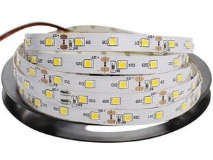 Eko-Light LED riba 60, 5 m hind ja info | LED ribad | kaup24.ee