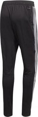 SWEATPANTS ADIDAS PERFORMANCE TIRO19 TR PNT D95958 цена и информация | Футбольная форма и другие товары | kaup24.ee