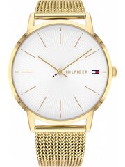 Tommy Hilfiger hind ja info | Naiste käekellad | kaup24.ee