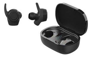 Streetz True Wireless Bluetooth 5 Black TWS-112 hind ja info | Streetz Kodumasinad, kodutehnika | kaup24.ee