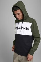 <p>Спортивный свитер JACK &amp; JONES</p><br />
<ul><br />
<li>Код продукта: 12172344FORESTNIGHT</li><br />
<li>Марка: JACK &amp; JONES</li><br />
<li>Цвет: Зелёный</li><br />
</ul> цена и информация | Мужские свитера | kaup24.ee