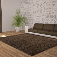 Vaip Ayyildiz Shaggy Dream Brown 4000, 200x290 cm цена и информация | Ковры | kaup24.ee