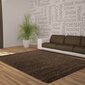 Vaip Ayyildiz Shaggy Dream Brown 4000, 200x290 cm цена и информация | Vaibad | kaup24.ee