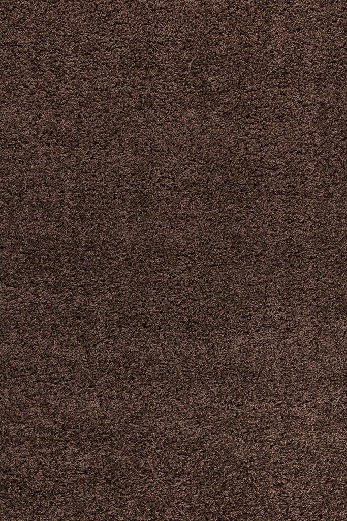 Vaip Ayyildiz Shaggy Dream Brown 4000, 200x290 cm цена и информация | Vaibad | kaup24.ee