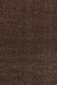 Vaip Ayyildiz Shaggy Dream Brown 4000, 200x290 cm цена и информация | Vaibad | kaup24.ee
