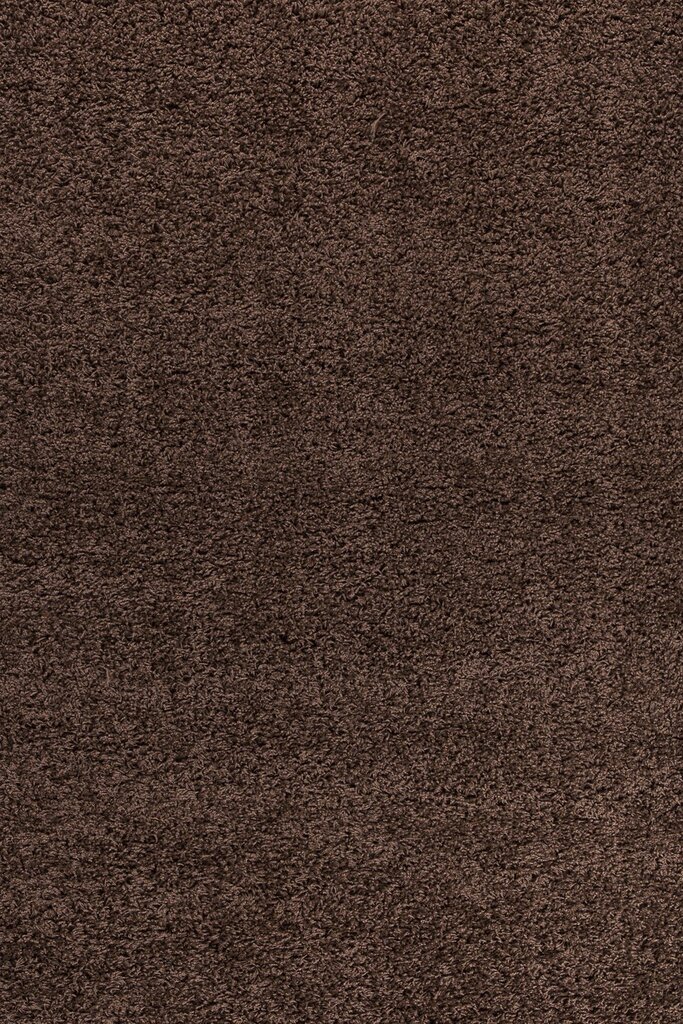 Vaip Ayyildiz Shaggy Dream Brown 4000, 60x110 cm цена и информация | Vaibad | kaup24.ee
