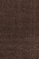 Vaip Ayyildiz Shaggy Dream Brown 4000, 65x130 cm hind ja info | Vaibad | kaup24.ee