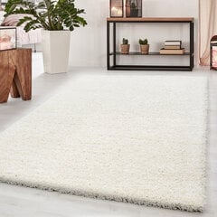 Vaip Ayyildiz Shaggy Dream Cream 4000, 160x230 cm hind ja info | Vaibad | kaup24.ee