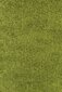 Vaip Ayyildiz Shaggy Dream Green 4000, 200x290 cm цена и информация | Vaibad | kaup24.ee