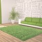 Vaip Ayyildiz Shaggy Dream Green 4000, 60x110 cm hind ja info | Vaibad | kaup24.ee