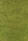 Vaip Ayyildiz Shaggy Dream Green 4000, 60x110 cm hind ja info | Vaibad | kaup24.ee
