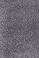 Vaip Ayyildiz Shaggy Dream Grey 4000, 200x290 cm hind ja info | Vaibad | kaup24.ee