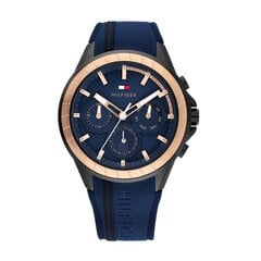 Мужские часы Tommy Hilfiger 1791579 цена и информация | Мужские часы | kaup24.ee