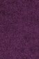 Vaip Ayyildiz Shaggy Dream Lila 4000, 60x110 cm hind ja info | Vaibad | kaup24.ee