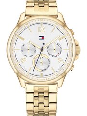 Мужские часы Tommy Hilfiger 1791789 цена и информация | Женские часы | kaup24.ee