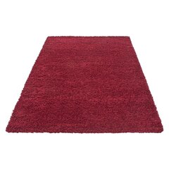 Vaip Ayyildiz Shaggy Dream Red 4000, 160x230 cm цена и информация | Ковры | kaup24.ee