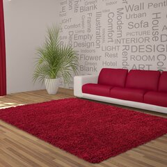 Vaip Ayyildiz Shaggy Dream Red 4000, 200x290 cm цена и информация | Ковры | kaup24.ee