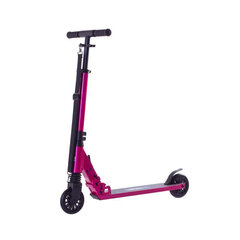 Laste tõukeratas Rideoo 120 City Pink hind ja info | Tõukerattad | kaup24.ee