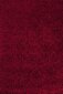 Vaip Ayyildiz Shaggy Dream Red 4000, 60x110 cm hind ja info | Vaibad | kaup24.ee