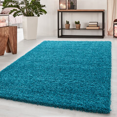 Vaip Ayyildiz Shaggy Dream Turkis 4000, 160x230 cm hind ja info | Vaibad | kaup24.ee