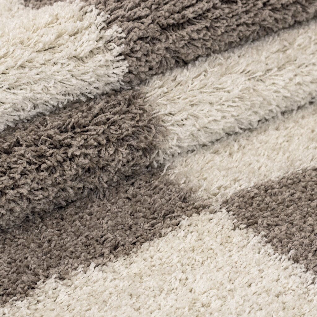 Ayyildiz vaip Shaggy Gala Beige 2505, 280x370 cm цена и информация | Vaibad | kaup24.ee