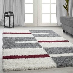 Ковер Ayyildiz Shaggy Gala Red 2505, 120x170 см   цена и информация | Ковры | kaup24.ee